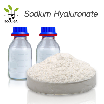 Одаренный натрий Hyaluronate 500g/сумка качества еды класса обеспечивает свободный образец